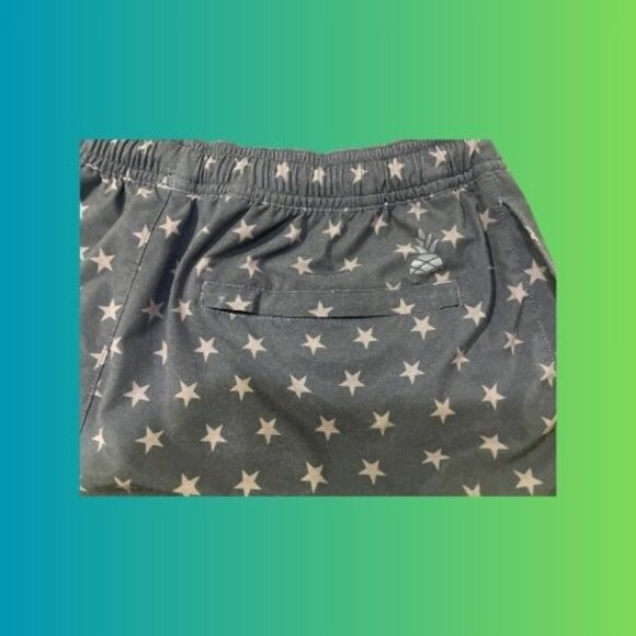 Chubbies Mens Small Performance Shorts, 7 inch inseam - Picture 3 of 8